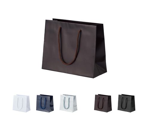 Paper bag landscape size new series gloss coat/matte coat 20 pieces AR-734