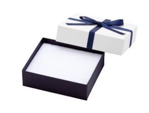 Accessory Paper Box, Feather Box with Ribbon, Earrings, Rings, and Necklaces with Notched Sponge, 6 Pieces 7344-REP