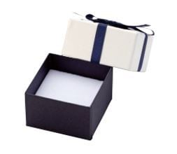 Accessory Paper Box Feather Case with Ribbon Earrings, Rings, and Necklaces with Sponge Notches 12 Pieces 7340-REP