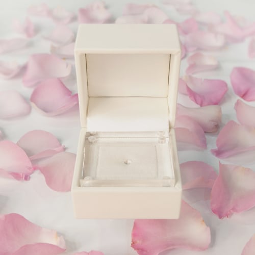 Loose case for proposals, bridal loose case, with acrylic lid, 1 piece SK-GA-300